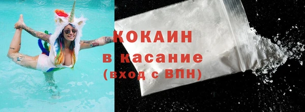 крисы Богородицк