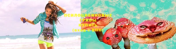 гашик Белокуриха