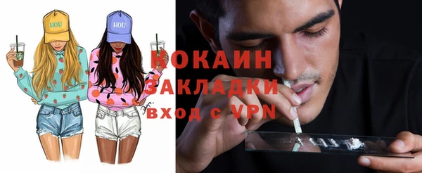 крисы Богородицк