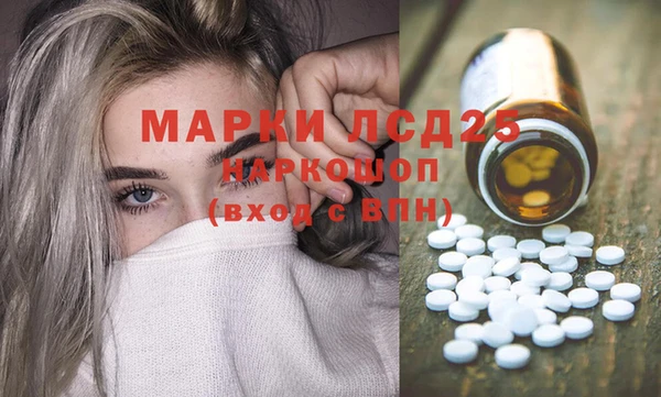 крисы Богородицк