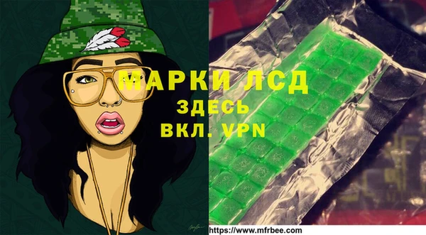 крисы Богородицк