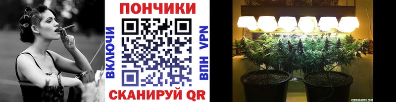 купить наркотик  Качканар  Бошки Шишки планчик 